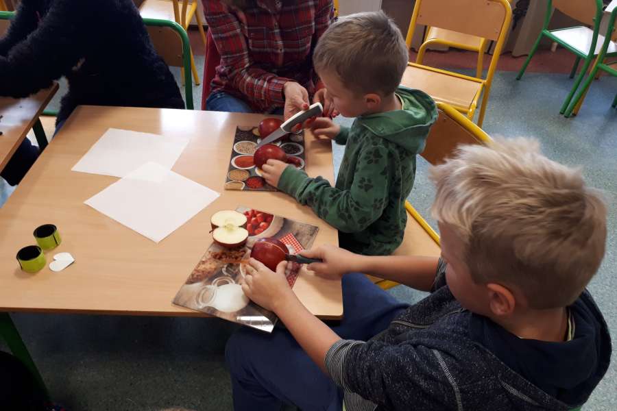 OWOCE ZDROWE I KOLOROWE