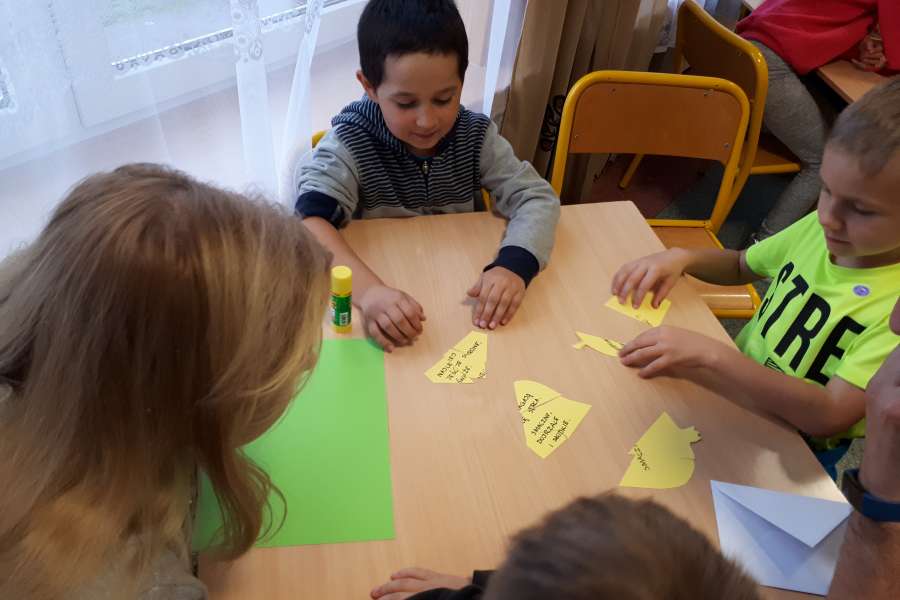 OWOCE ZDROWE I KOLOROWE