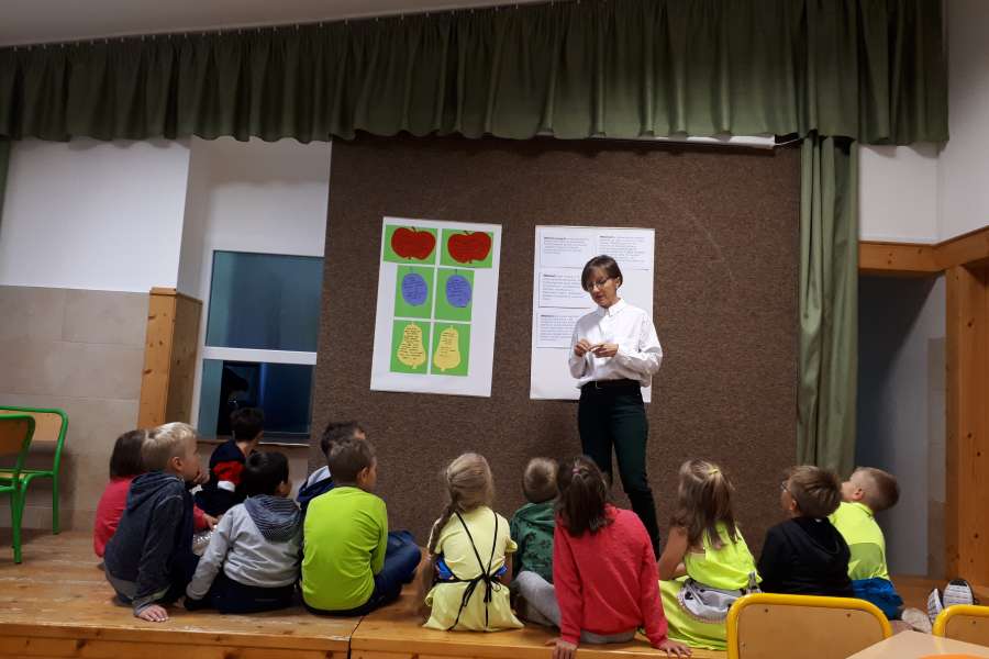 OWOCE ZDROWE I KOLOROWE