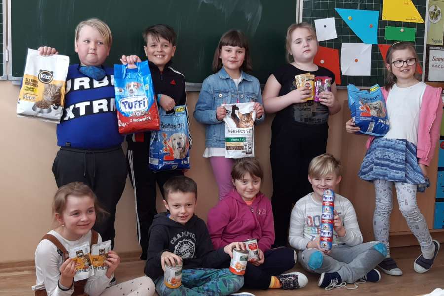 Światowy Dzień Kota-2