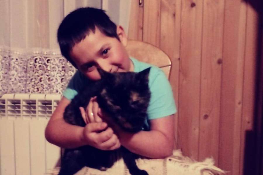 Światowy Dzień Kota-2