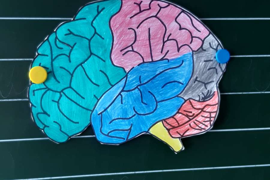 DZIEŃ MÓZGU W KLASIE 2