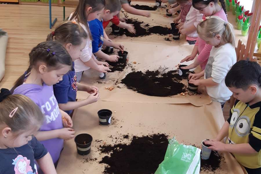 Siejemy, sadzimy – wiosna na parapecie