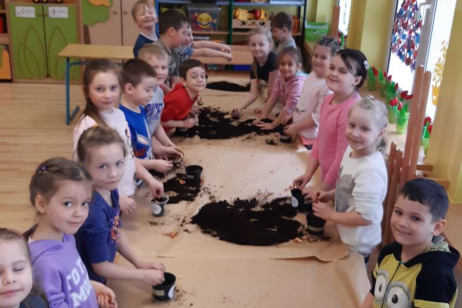 Siejemy, sadzimy – wiosna na parapecie