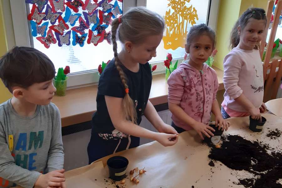 Siejemy, sadzimy – wiosna na parapecie