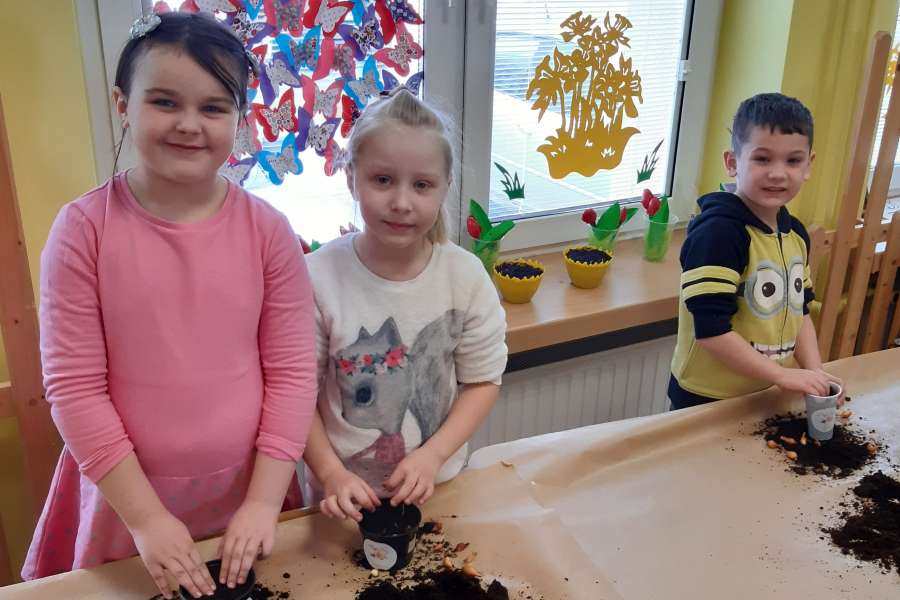 Siejemy, sadzimy – wiosna na parapecie