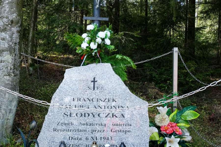 V RAJD SZLAKAMI ODDZIAŁU PARTYZANCKIEGO