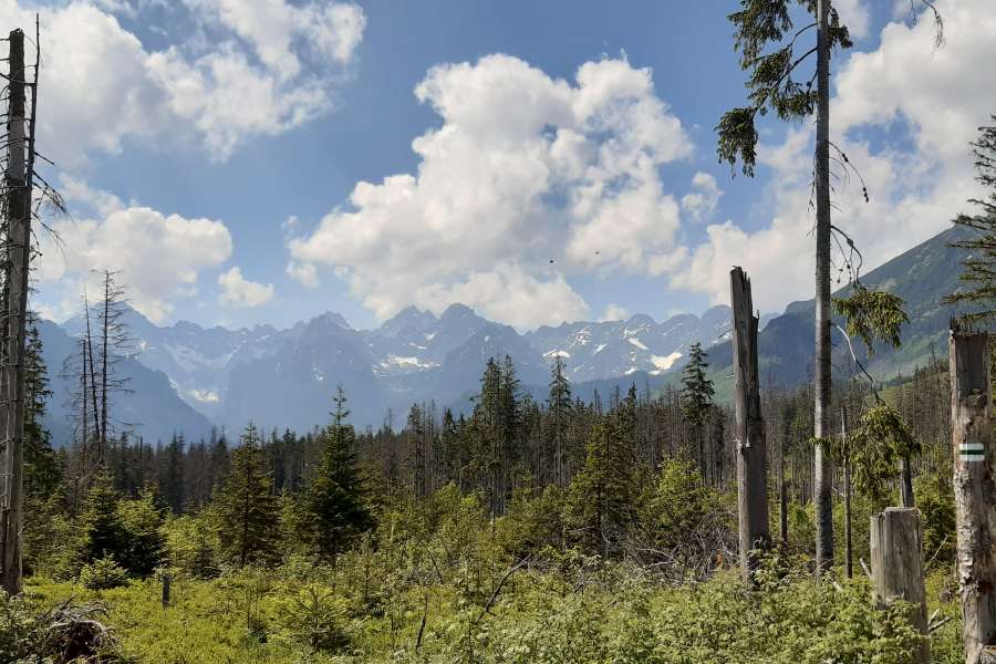 WYCIECZKA KLASY 2 NA RUSINOWĄ POLANĘ I WIKTORÓWKI