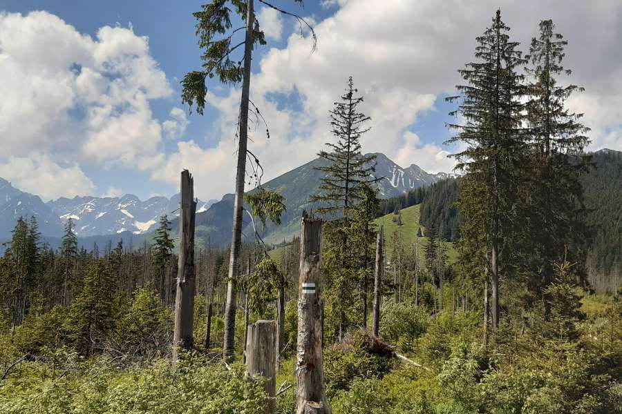 WYCIECZKA KLASY 2 NA RUSINOWĄ POLANĘ I WIKTORÓWKI