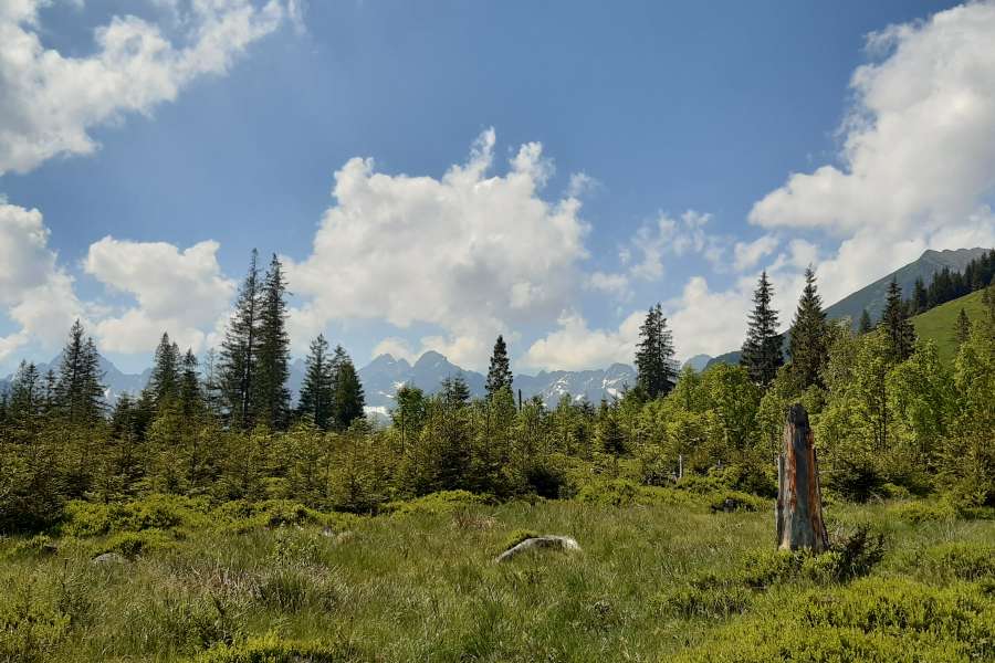 WYCIECZKA KLASY 2 NA RUSINOWĄ POLANĘ I WIKTORÓWKI