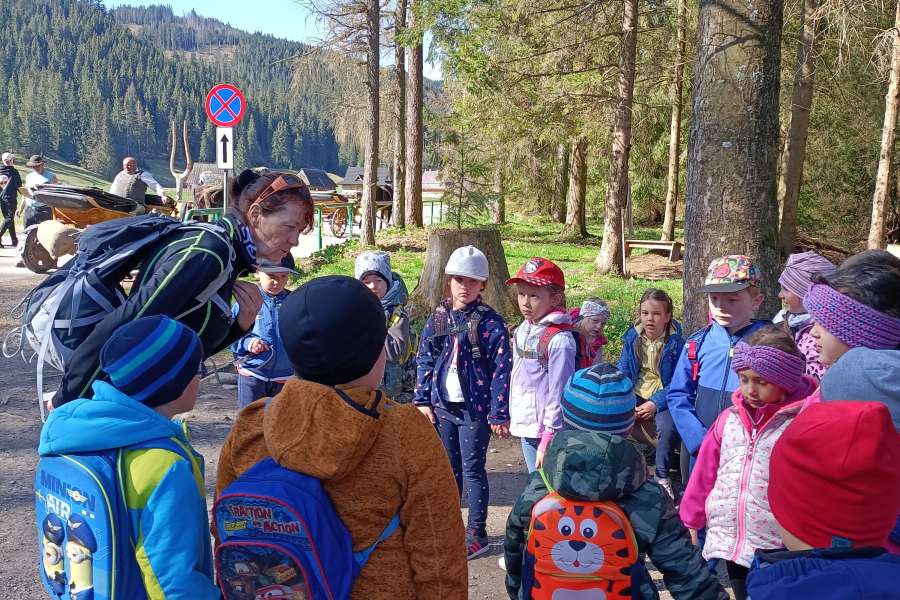 WYCIECZKA SMERFÓW DO DOLINY CHOCHOŁOWSKIEJ