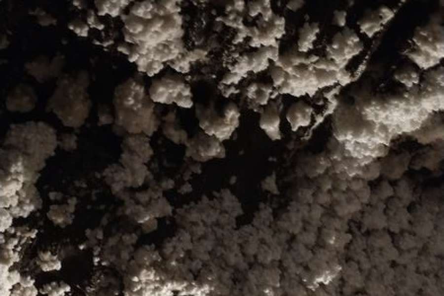 Wycieczka do  Kopalni  Soli w Bochni