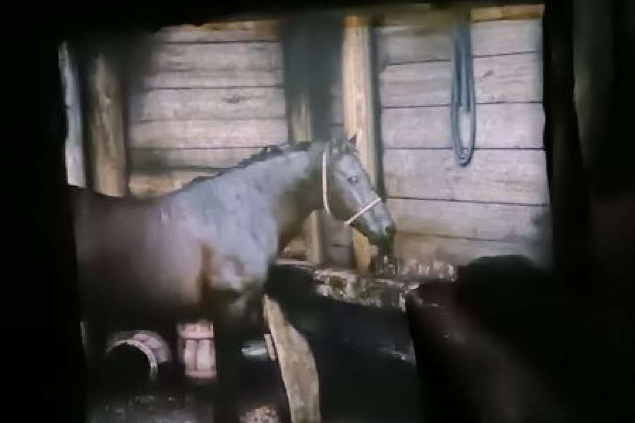 Wycieczka do  Kopalni  Soli w Bochni