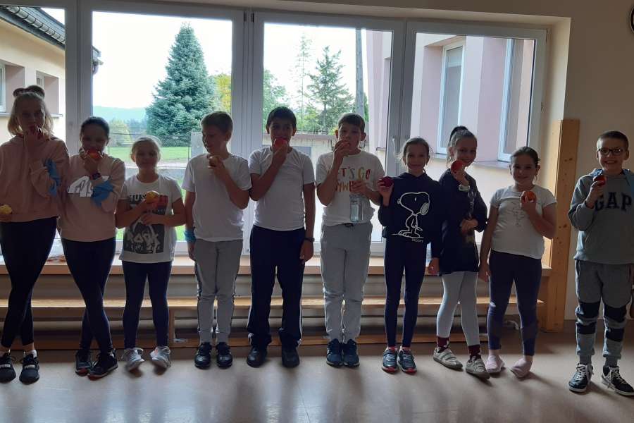 28 WRZEŚNIA ŚWIATOWY DZIEŃ JABŁKA