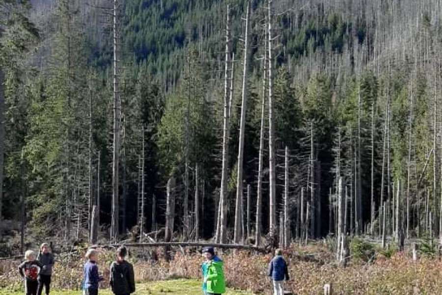 JESIENNA WYCIECZKA DO DOLINY KOŚCIELISKIEJ UCZNIÓW KLASY 2 i 3