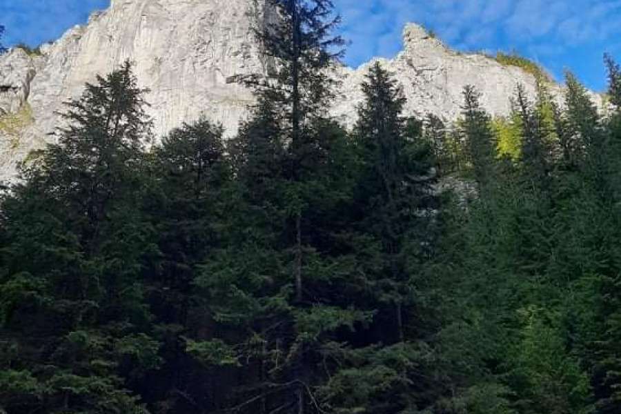 JESIENNA WYCIECZKA DO DOLINY KOŚCIELISKIEJ UCZNIÓW KLASY 2 i 3