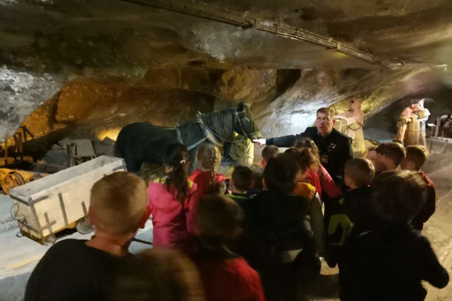 Wycieczka do Wieliczki kl. 1-3