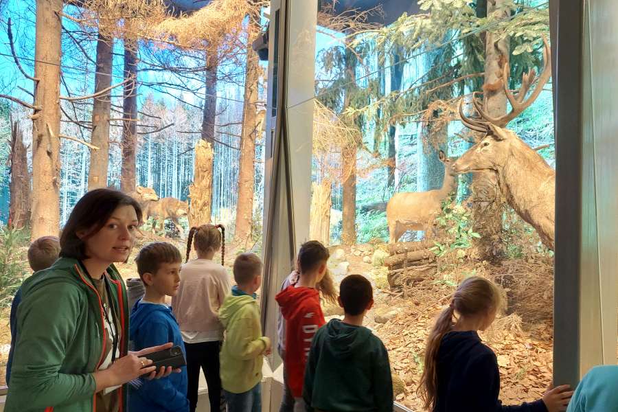 ZAJĘCIA UCZNIÓW KLASY 3 W TPN