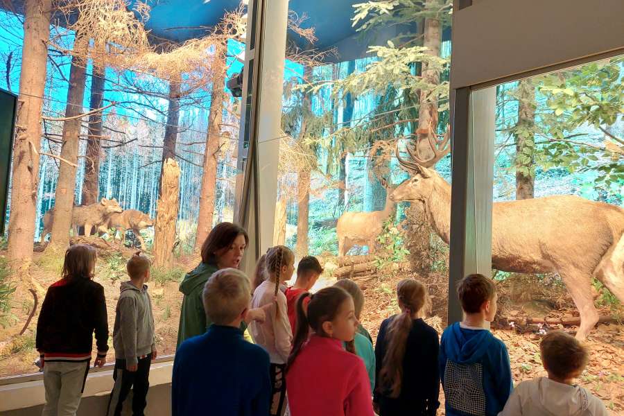 ZAJĘCIA UCZNIÓW KLASY 3 W TPN