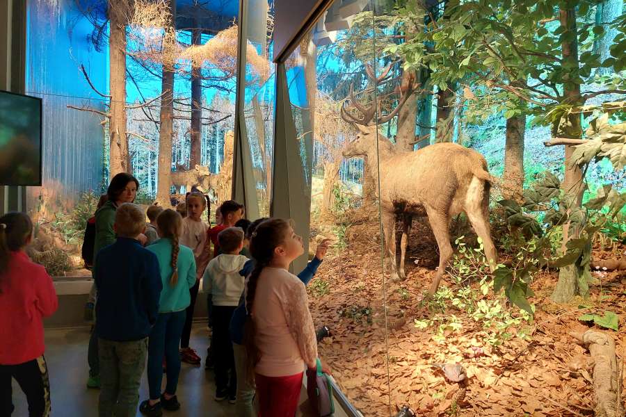 ZAJĘCIA UCZNIÓW KLASY 3 W TPN