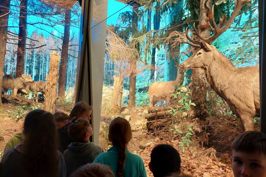 ZAJĘCIA UCZNIÓW KLASY 3 W TPN