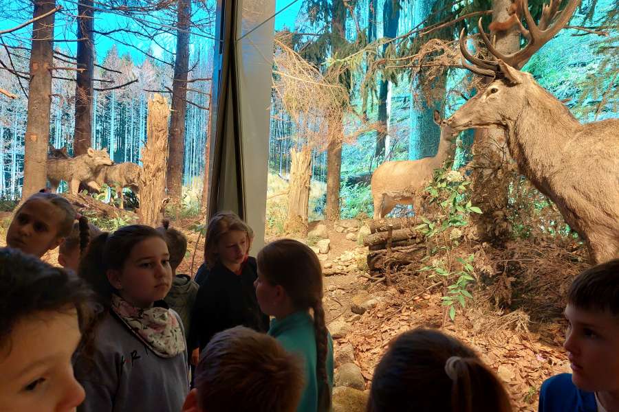 ZAJĘCIA UCZNIÓW KLASY 3 W TPN