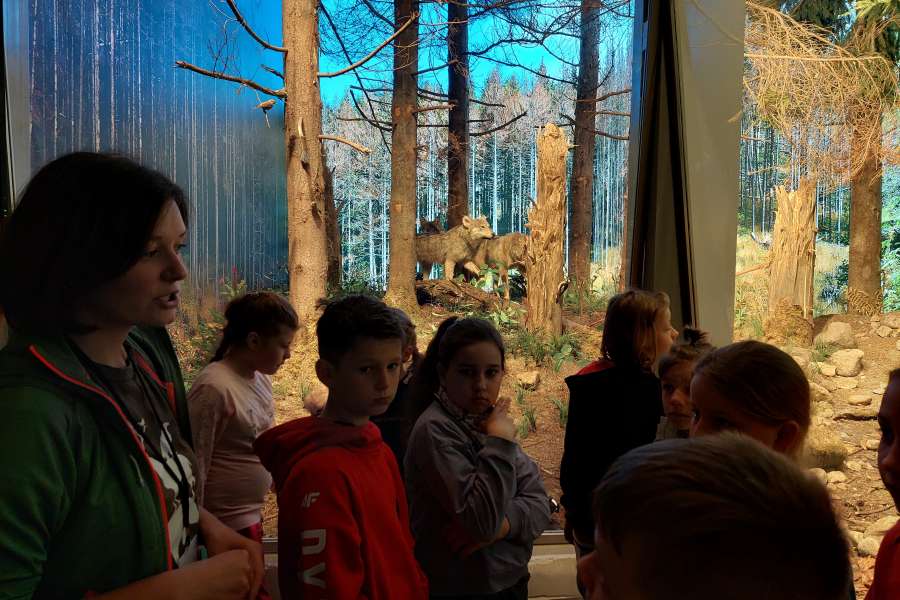 ZAJĘCIA UCZNIÓW KLASY 3 W TPN