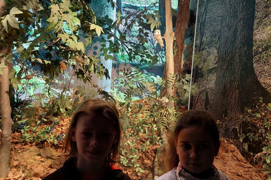 ZAJĘCIA UCZNIÓW KLASY 3 W TPN