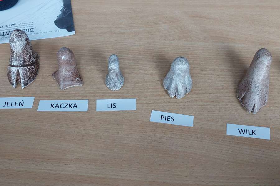 ZAJĘCIA UCZNIÓW KLASY 3 W TPN