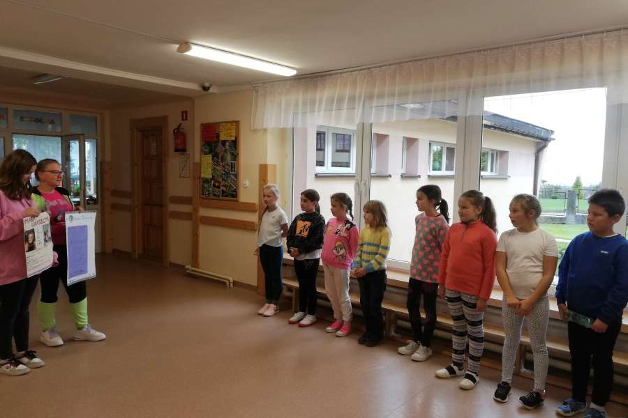 Kampania wyborcza przed wyborami do SU