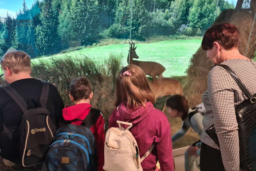 Lekcja Edukacyjna TPN Zwierzęta Tatr