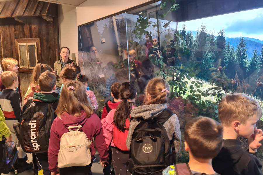 Lekcja Edukacyjna TPN Zwierzęta Tatr