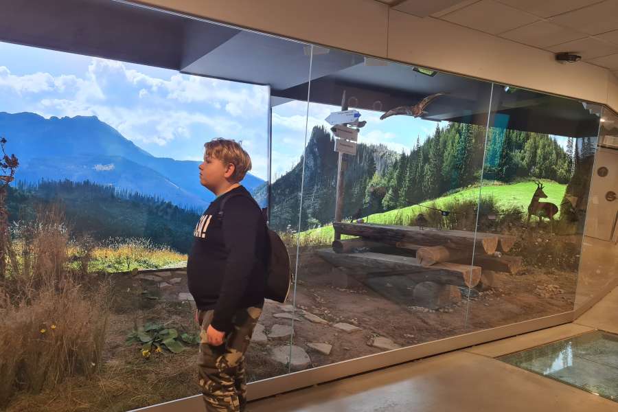 Lekcja Edukacyjna TPN Zwierzęta Tatr