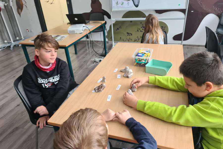 Lekcja Edukacyjna TPN Zwierzęta Tatr