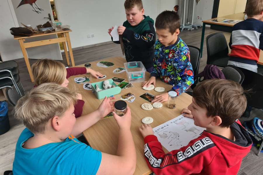 Lekcja Edukacyjna TPN Zwierzęta Tatr