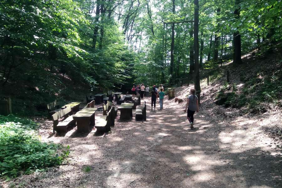 Wycieczka do Bochni2223