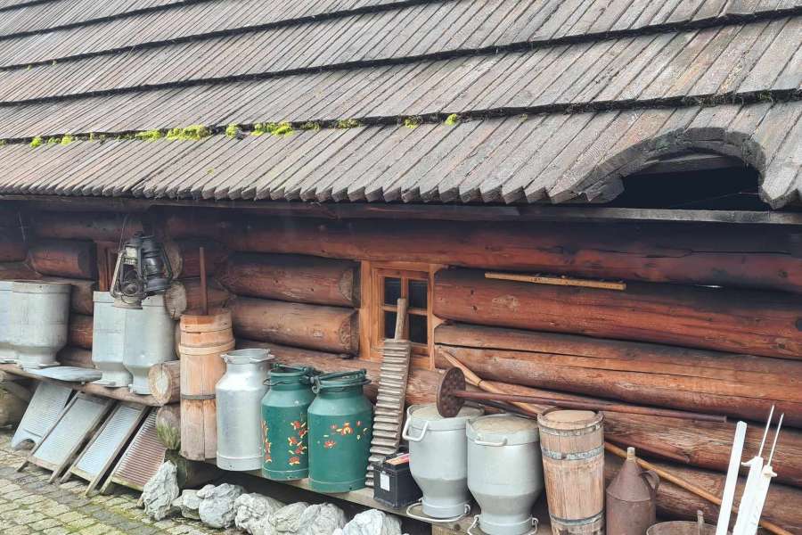 WYCIECZKA KLAS 1-3 DO ZUBRZYCY