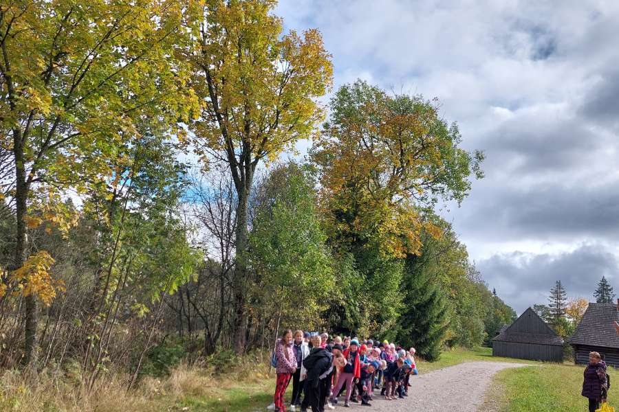 Dzień Drzewa 2023-24a