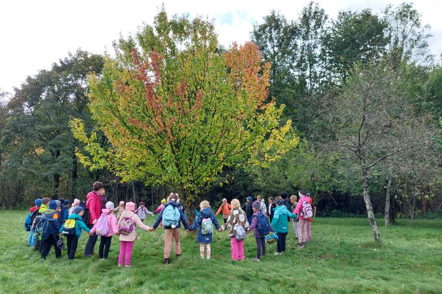 Dzień Drzewa 2023-24a