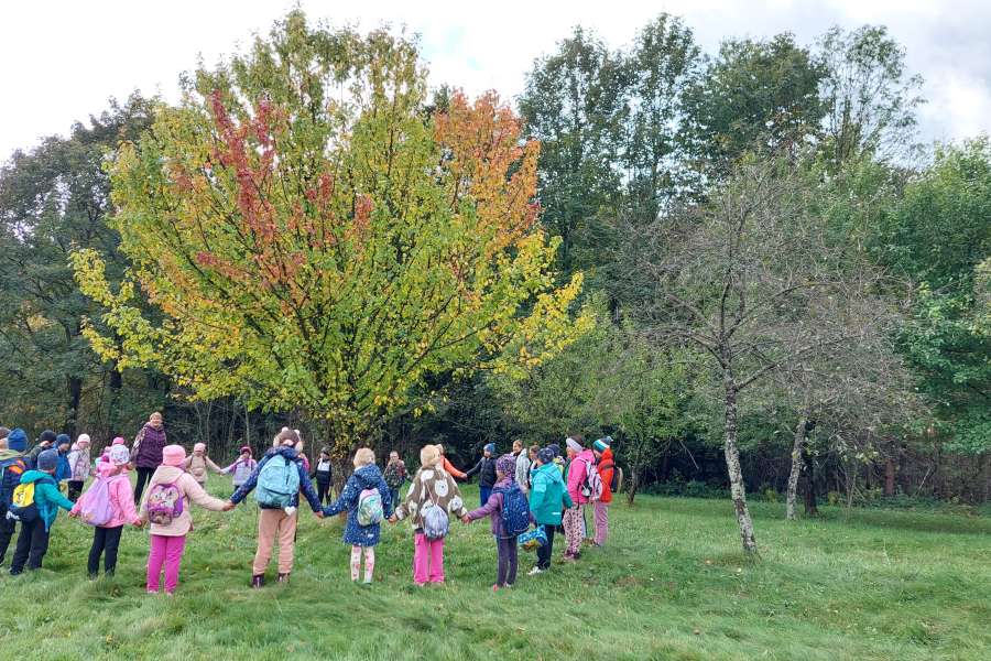 Dzień Drzewa 2023-24a