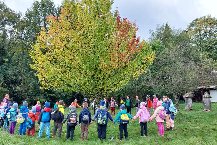 Dzień Drzewa 2023-24a