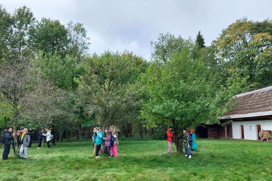 Dzień Drzewa 2023-24a