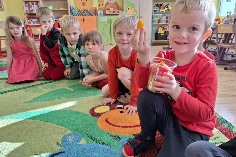 "Projekt Witaminki - pomidor" w grupie Smerfów