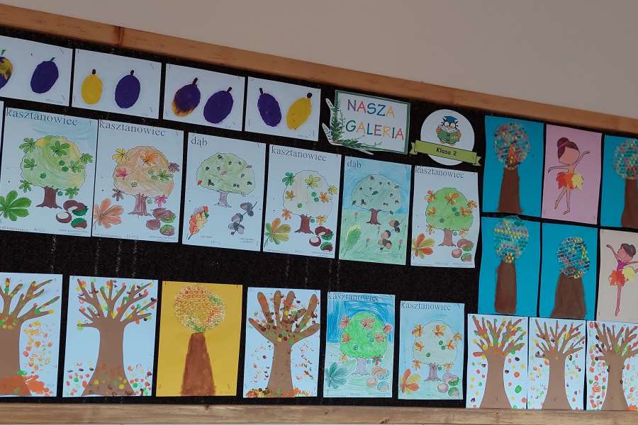 Dzień Drzewa 2023-24a