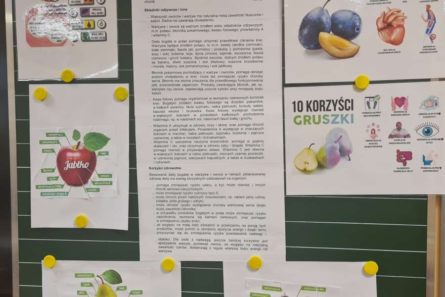 Owoce Zdrowe i Kolorowe-23-24a