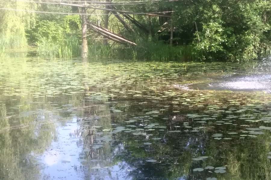 wycieczka na Śląsk-5-06-24