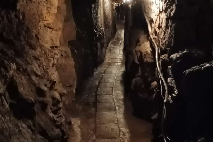 wycieczka na Śląsk-5-06-24