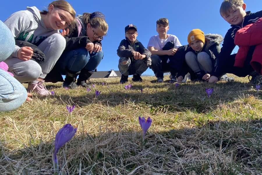 Pierwszy Dzień Wiosny 2025