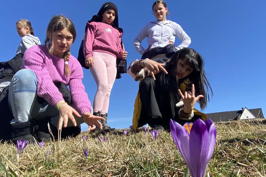 Pierwszy Dzień Wiosny 2025