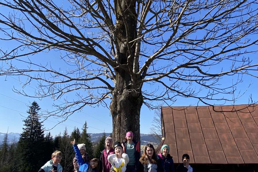 Pierwszy Dzień Wiosny 2025